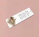 Capture447-Photoroom.webp